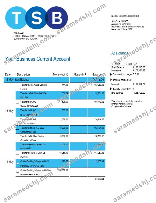 TSB Bank firm account statement Word and PDF template